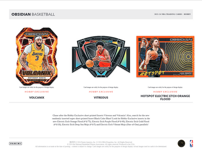 2023-24 Panini Obsidian Basketball Hobby 12 Box Case